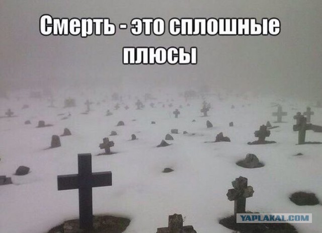 Подборка картинок из сети