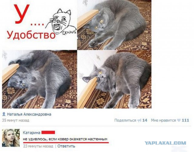 Смешные комментарии из социальных сетей 01.04.2016.