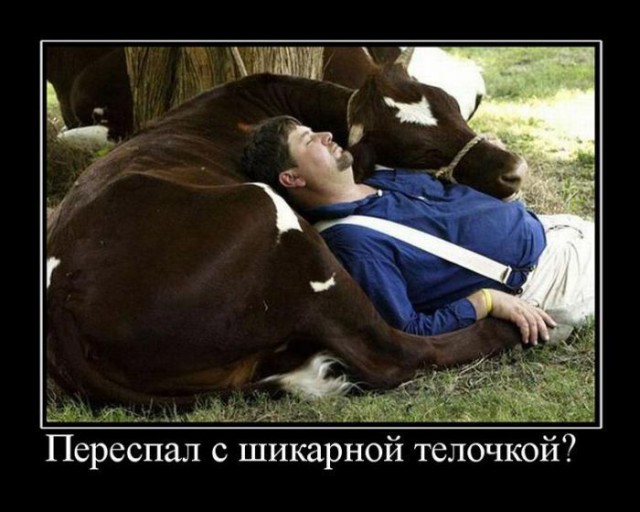 Подборка веселых демотиваторов на сегодня