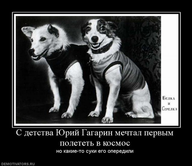 Почему нельзя кота в космос запустить