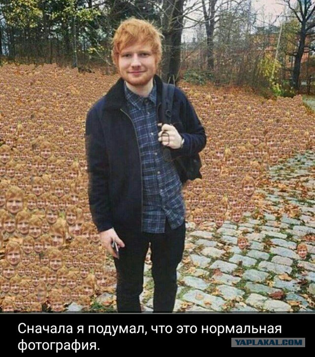 Картинки всякие для поднятия настроения!