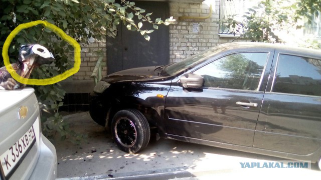 Автопарковочное быдло