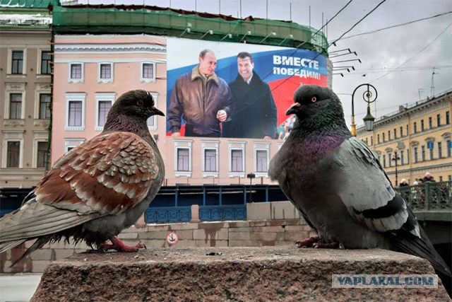 Фотографии современной России