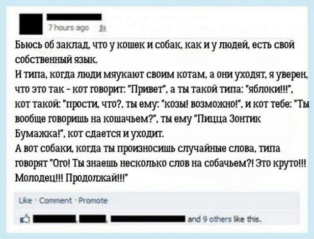 Журнал школьный деградант