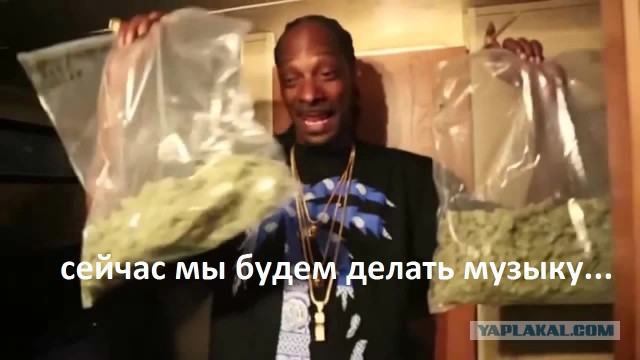 Образование и профессии отечественных рок музыкантов