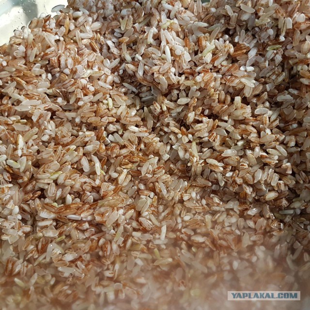Плов домашний