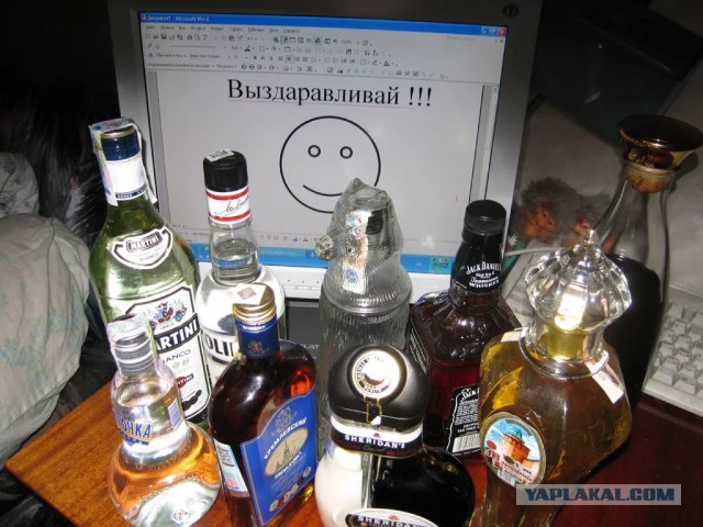 Алко юмор 2.0