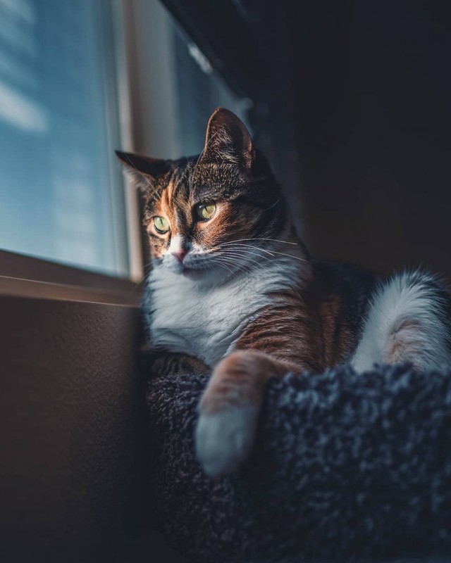 Немного милоты