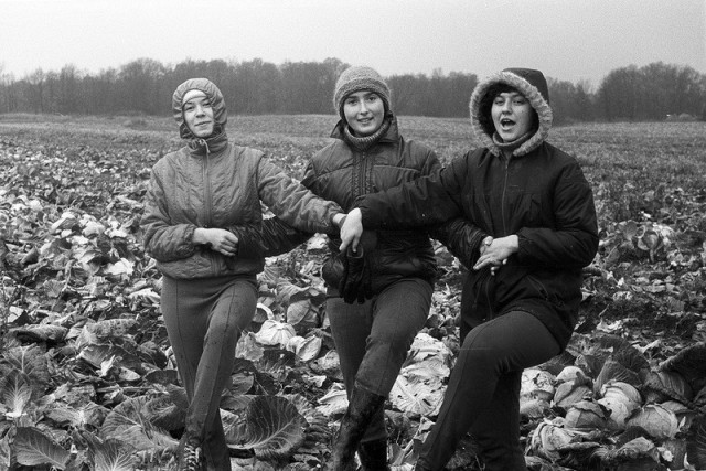 История в фотографиях