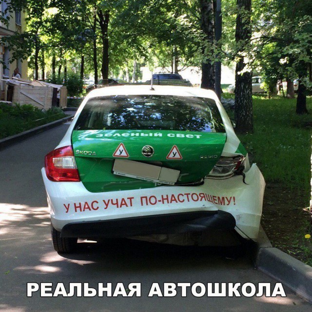 Лента прикольных картинок