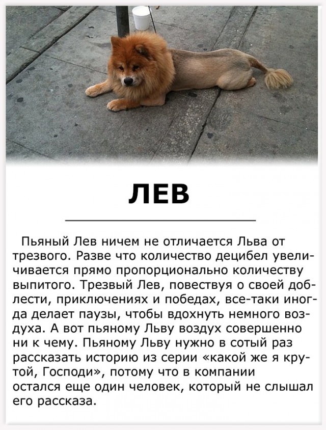 Алкопост на вечер этой пятницы