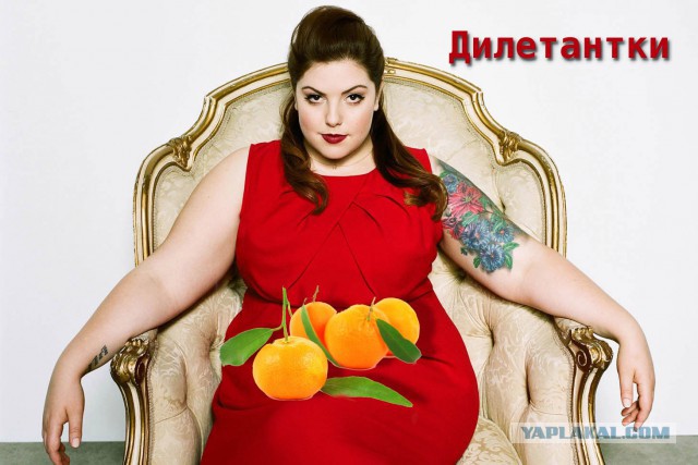 Новогодние приколы 2019