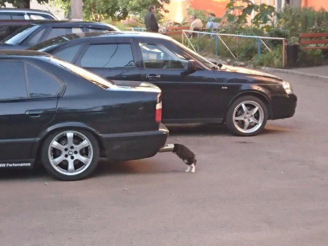 WTF: что тут происходит?