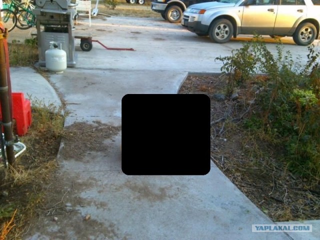 Они делают это каждый день