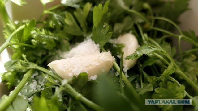 Дачная юшка на берегу Днепра