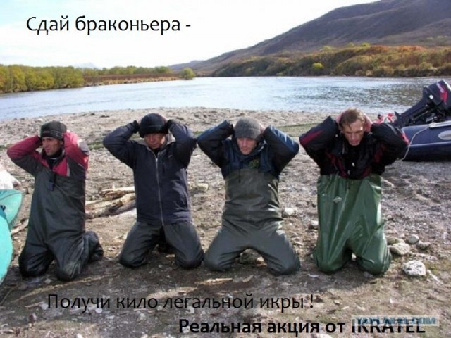 Конкурс на лучшую фотожабу против браконьеров.