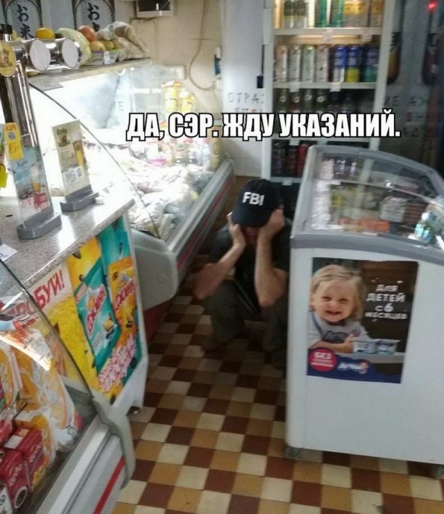Скотсети и прочие интернеты 16.08.19