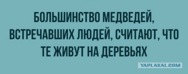 Кирпичи на реке Кирпичный