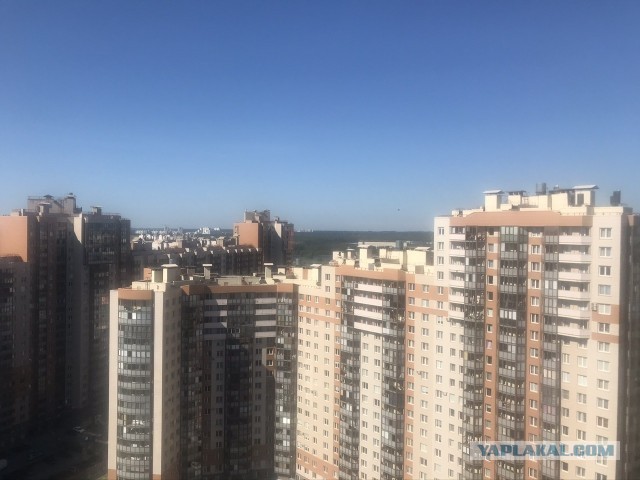 Пляж Петербурга №1