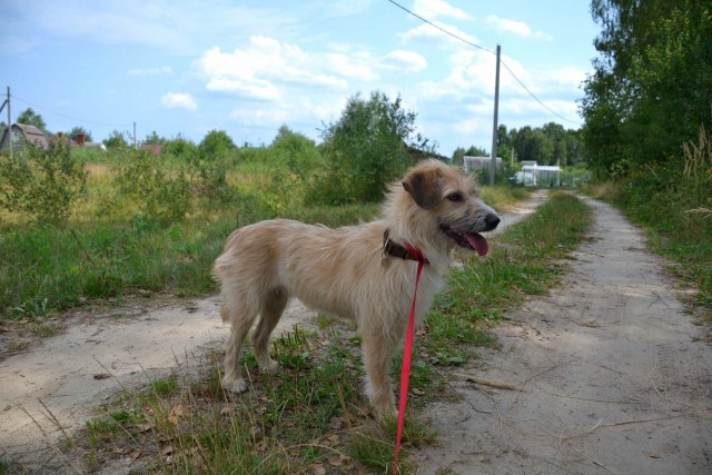 Чуток картинок не про вирус  18.0.  Животные