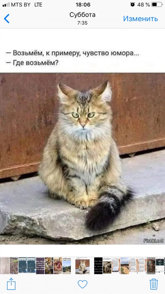 Встреча у лифта