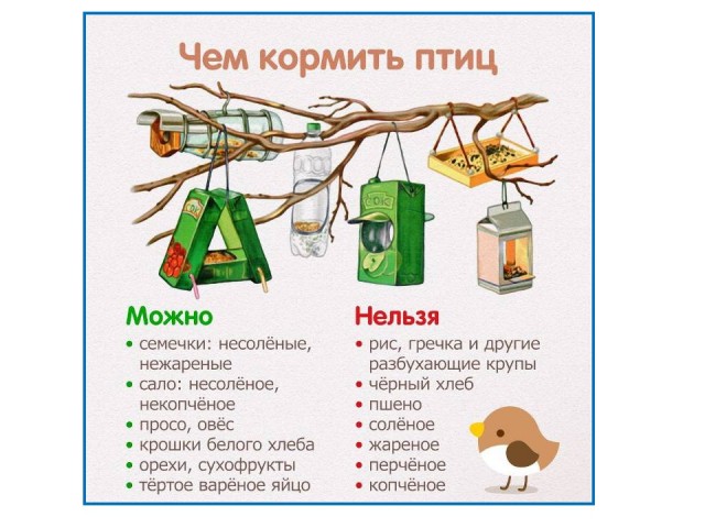 Почему в городах массово исчезают воробьи?