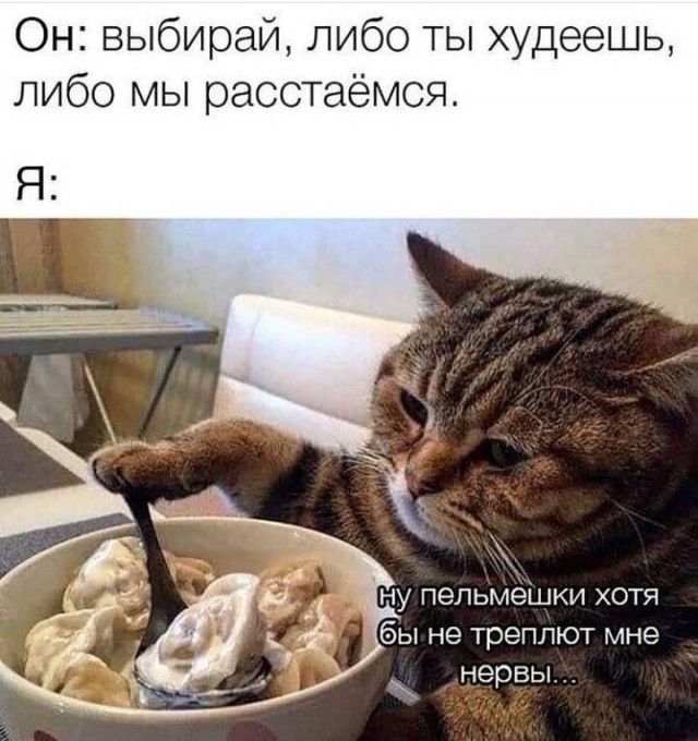 Картинки и мемы для настроения 017