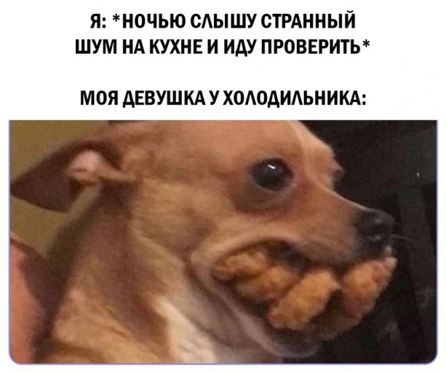 Весёлый полтишок 26.03