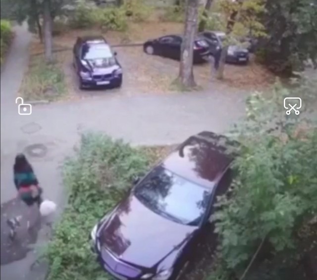 Урод без мозгов