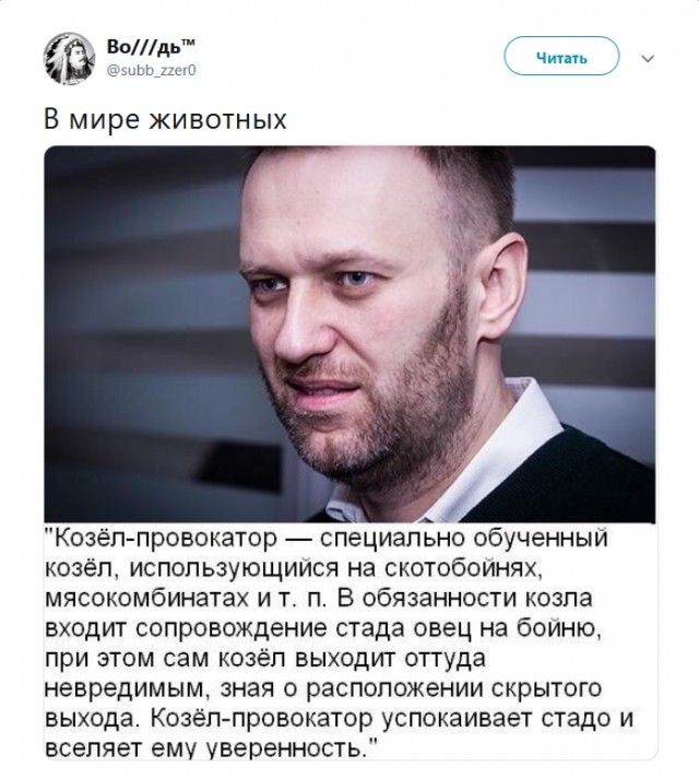 Картинки обо всём 24.04.21