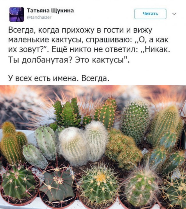 Картинки с надписями и всякие жизненные фразы 1.05.21