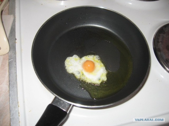 Праздничный обед для чайников от Дженибека&Бомжыка