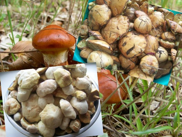 Кулинарная беседка