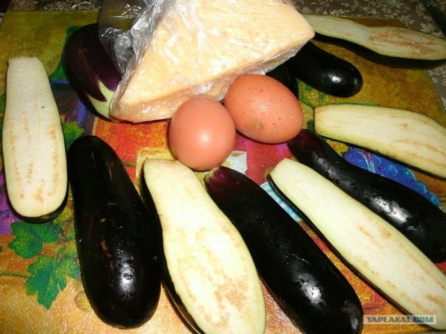 Пятничные посиделки на теплотрассе ©