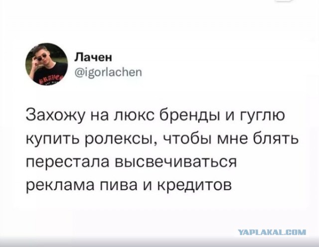 Весёлый полтишок 26.11