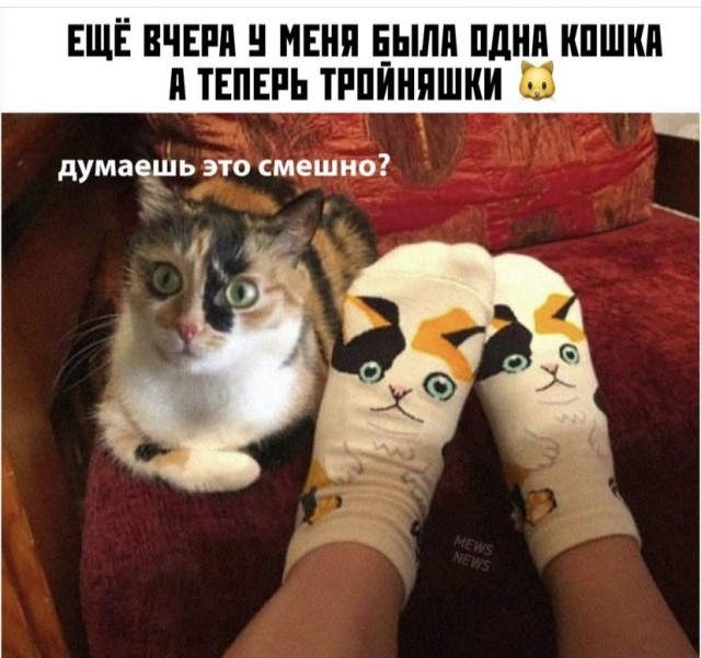 Картинки и мемы для настроения 13.12.2021