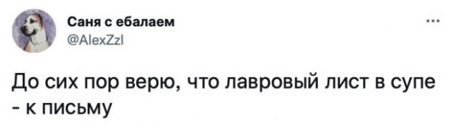 Чуток картинок 31.01.22