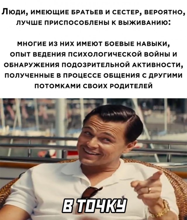 Весёлый полтишок 24.05.22