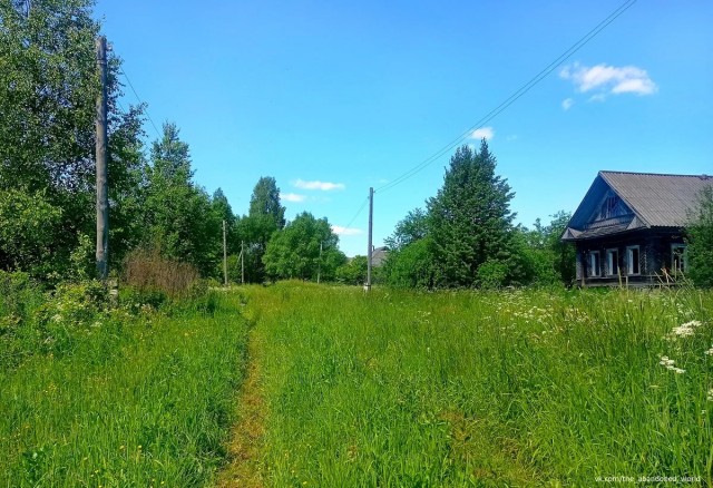 Заброшенная деревня в Ярославской области