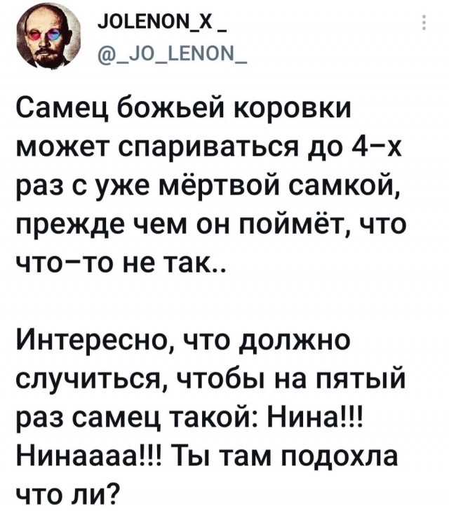 Когда уже родишь?