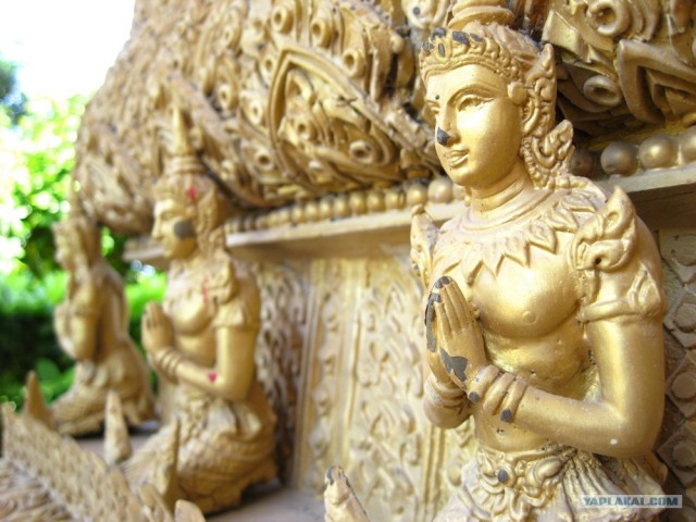 Такой разный остров Самуи