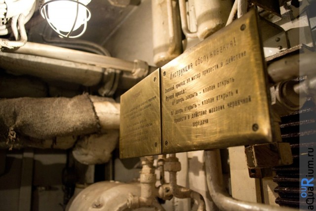 СПб глазами уставшего туриста...