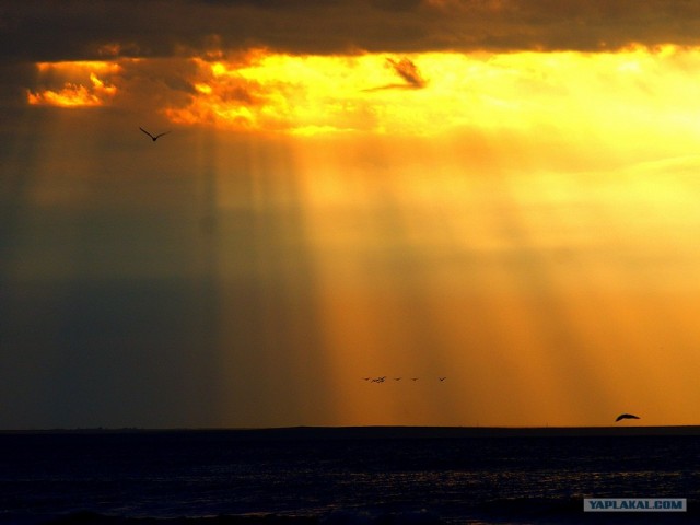 Прогулка по Крыму