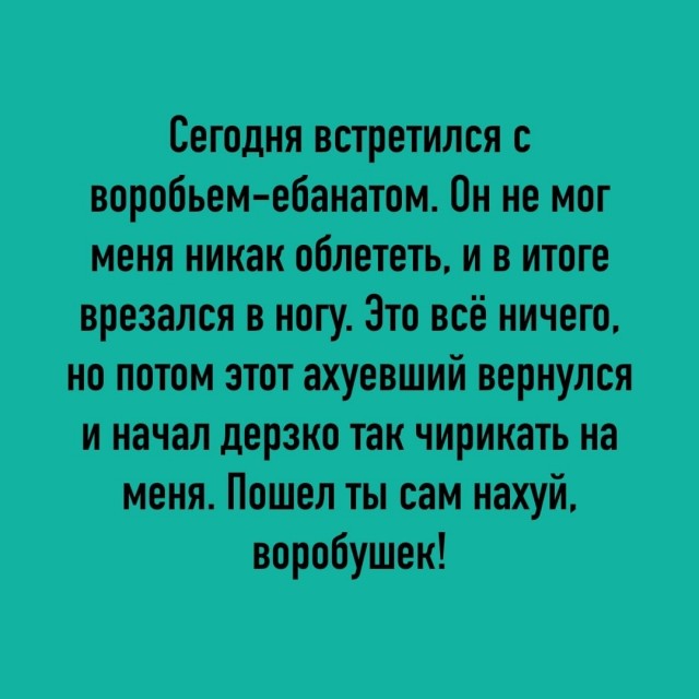 Так себе картинки 17.10.22