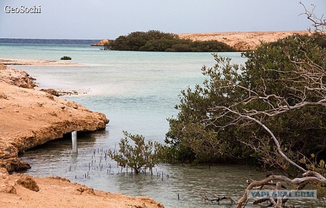 Синайские приключения. Шарм-эш-Шейх и окресности