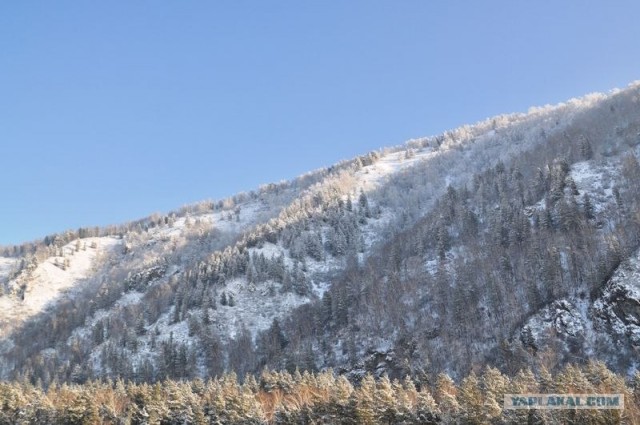 Чуток свежего воздуха