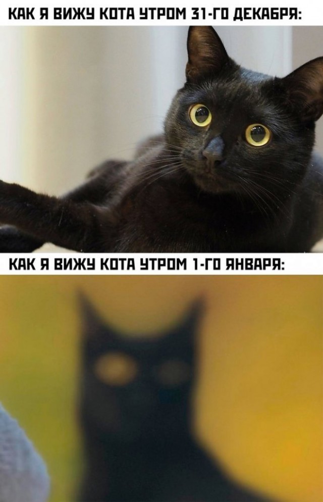 Картинки и мемы, всем хороших выходных
