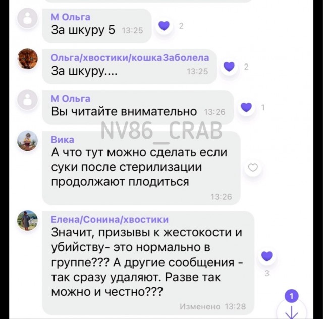 Житель ХМАО предложил деньги за шкуры убитых собак. Животные напали на его дочь