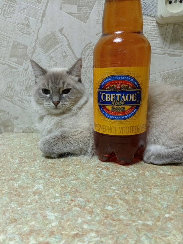 Вторник, да?