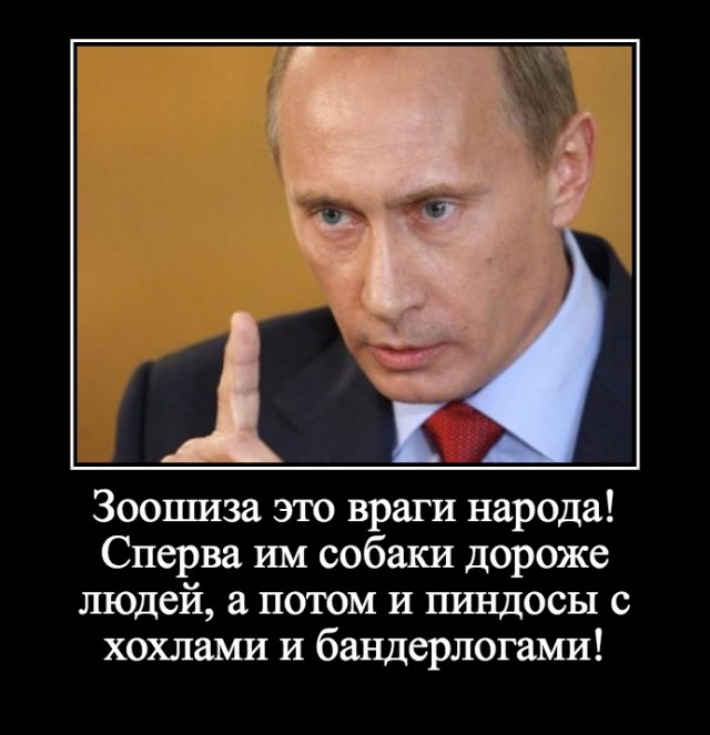 Бездомные собаки насмерть загрызли ребёнка в Оренбурге.